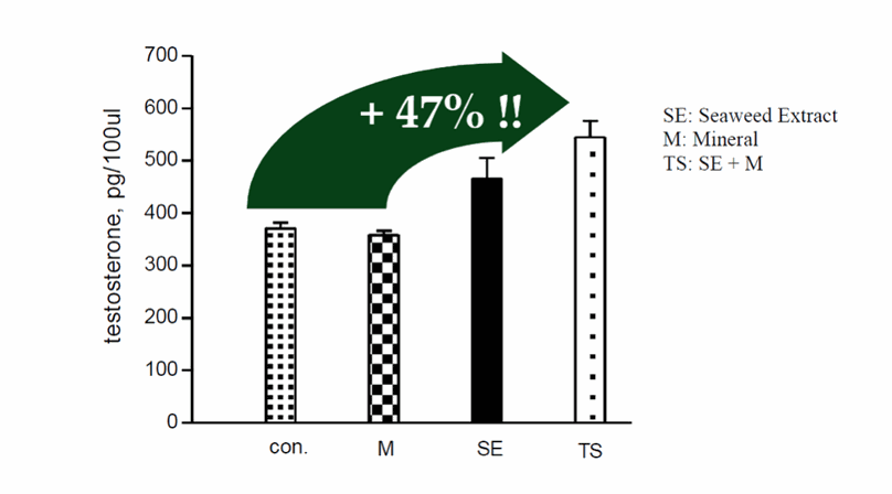 Odoo • Image and Text